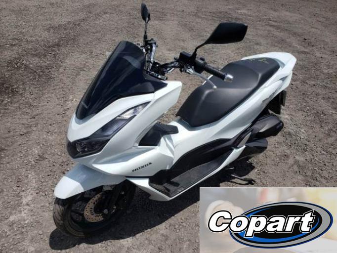 HONDA PCX 23/23