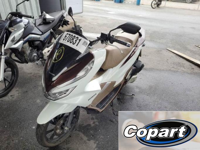 HONDA PCX 20/20